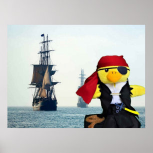 Danny Duck piraten. Poster