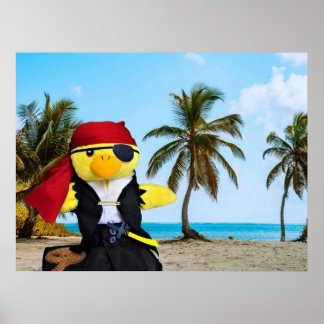 Danny Duck piraten. Poster