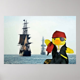Danny Duck Piraten. Poster