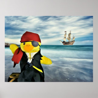 Danny Duck Piraten. Poster