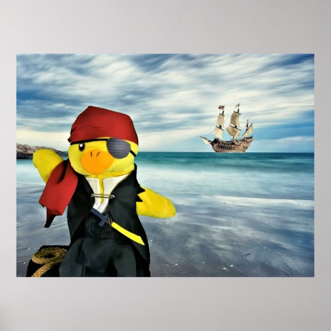 Danny Duck Piraten. Poster (Framsidan)