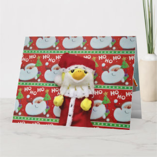 Danny Duck Santa julkort Kort
