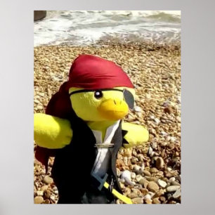 Danny Duck Sjökaparen Poster