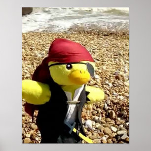 Danny Duck Sjökaparen Poster