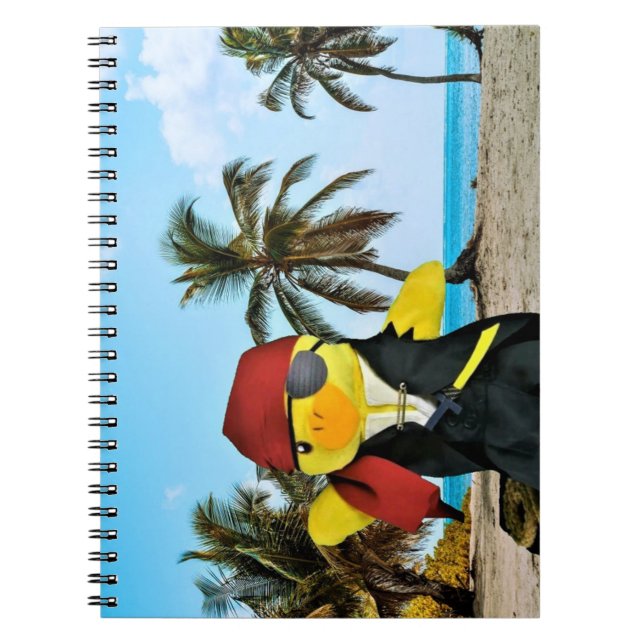 Danny Duck Sjörovarens anteckningsbok (Framsidan)