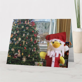 Danny Duck Tomte Julkort Kort