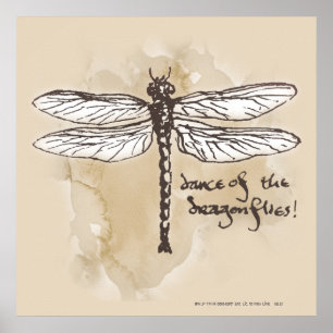 Dans av sländorna poster