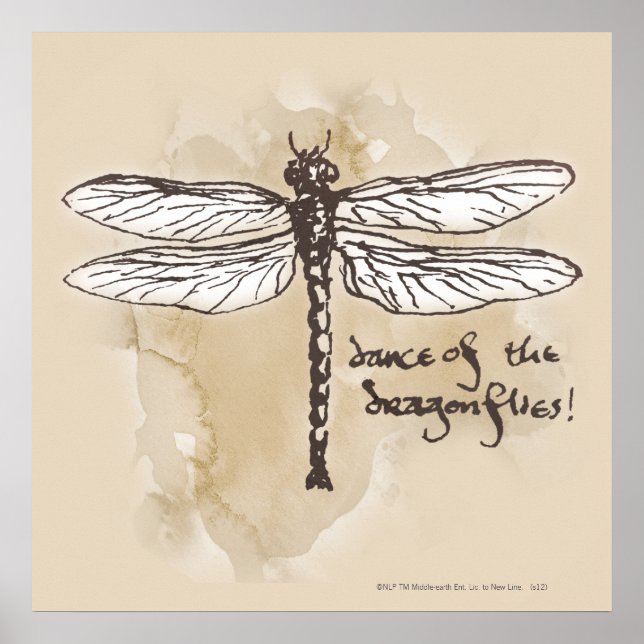 Dans av sländorna poster (Framsidan)