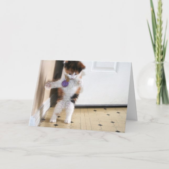 Dans Kort (Framsida)