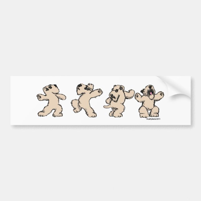 Dans SCWT Bildekal (Framsidan)