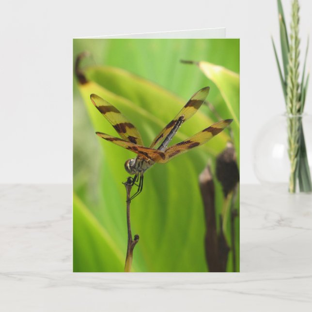 Dansa Dragonfly Greeting Card Kort (Framsida)