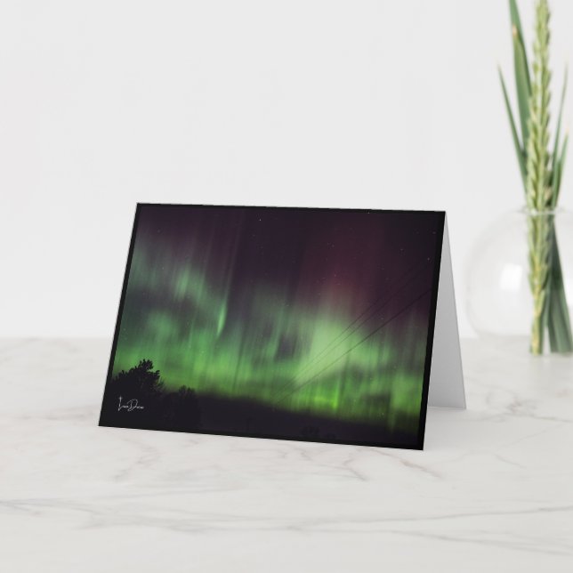 Dansa Ljus över tysta Träd-blankkort Tack Kort (Framsida)