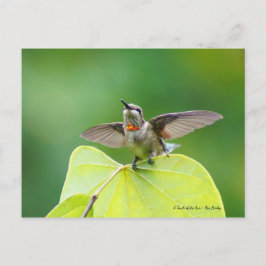 Dansande och humming! vykort