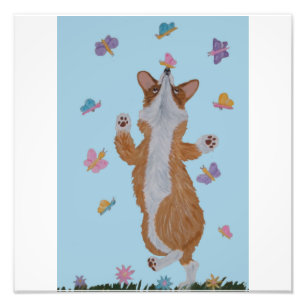 Dansande Welsh Corgi med fjärilar Fototryck