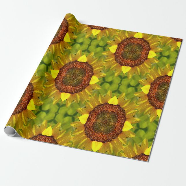 Dansar solblommor... presentpapper (Utrullad)