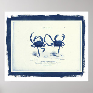 Danse Fantastique, 1829 i svart ram (remix Poster