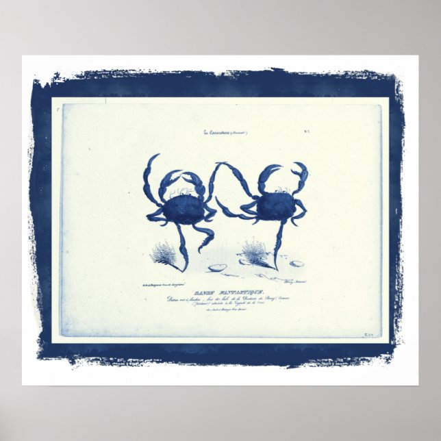 Danse Fantastique, 1829 i svart ram (remix Poster (Framsidan)