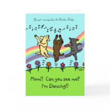 Dansen Labradors på regnbågen överbryggar