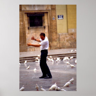 Danser med duvor poster