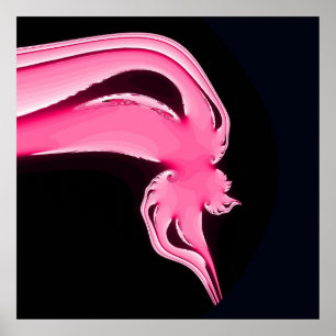 DansFlamingo Poster