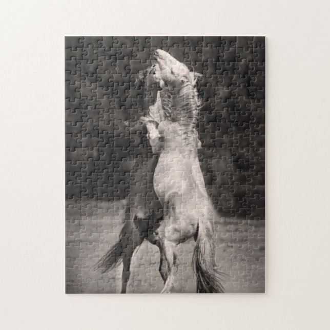 Danshingstar Pussel (Vertikal)