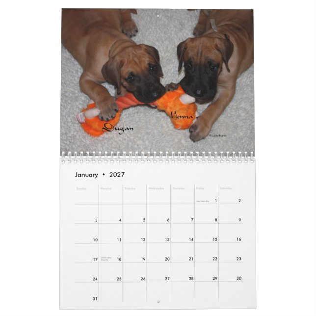 DanskAffaire - 2012 valpar Kalender (Jan 2027)