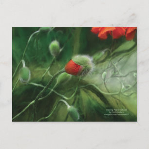 Danske Poppies-vykort Vykort