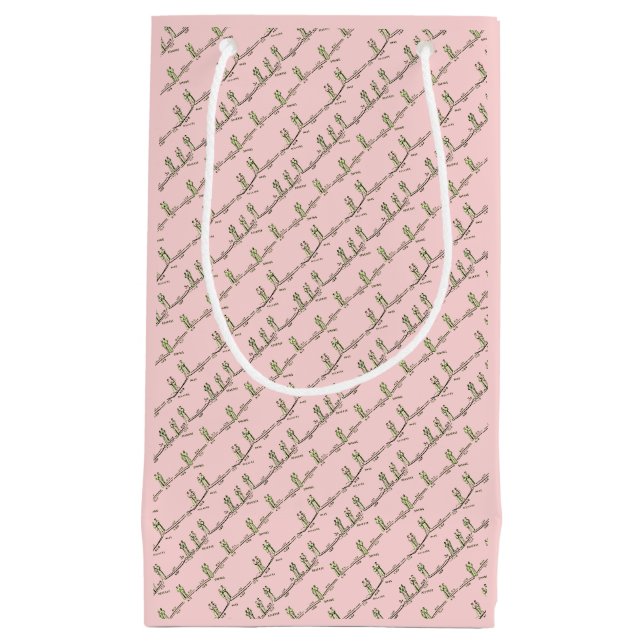 Danslektioner presentpåse (rosa) (Framsidan)