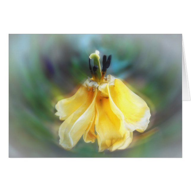 Danstulpan Hälsningskort (Framsidan Horizontal)