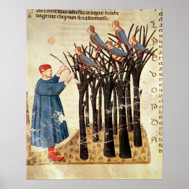 Dante och Souls omvandlade till fåglar Poster (Framsidan)