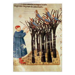Dante och soulsna som omformas in i fåglar hälsningskort