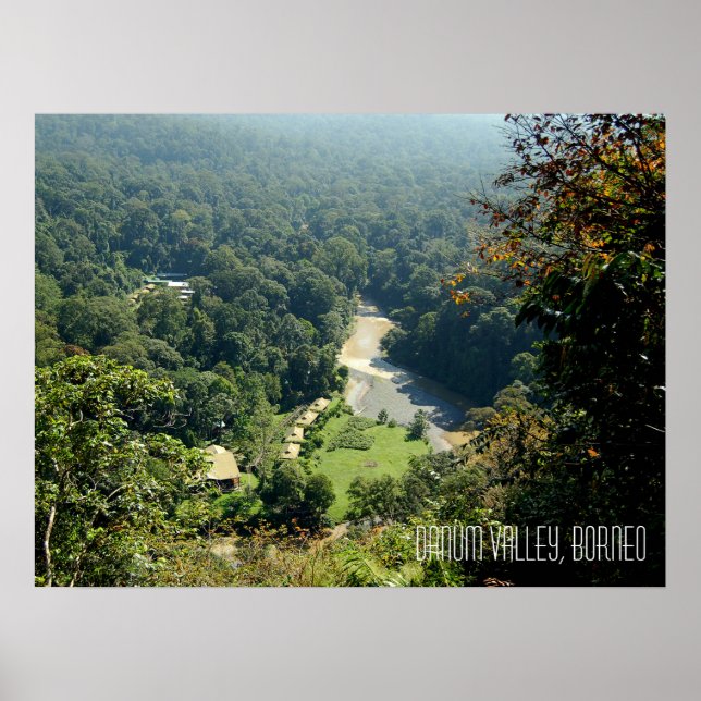 Danum Valley Borneo Regnskog Djungel Scen Poster (Framsidan)