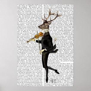 Danuta Hjort med Violin Poster