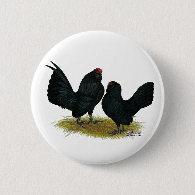 D'Anvers Black Bantams Knapp (Framsida)