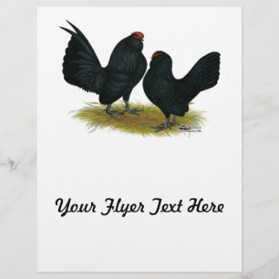 D'Anvers Black Bantams Reklamblad