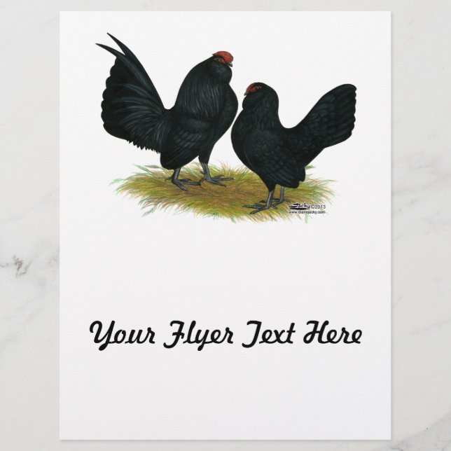 D'Anvers Black Bantams Reklamblad (Framsidan)