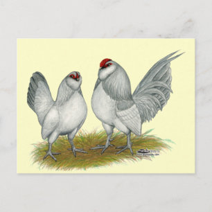 D'Anvers Self Blue Bantams Vykort