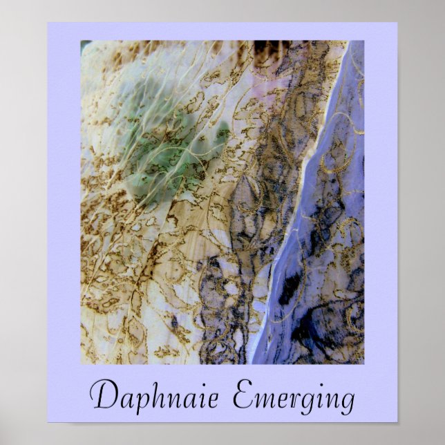 Daphnaie Emerging Poster (Framsidan)