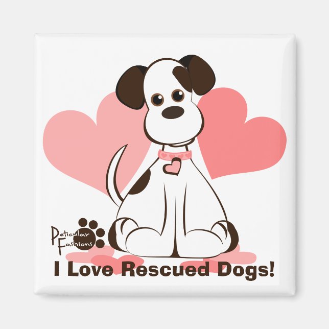 Daphne: Antogs Hund Magnet (Framsidan)