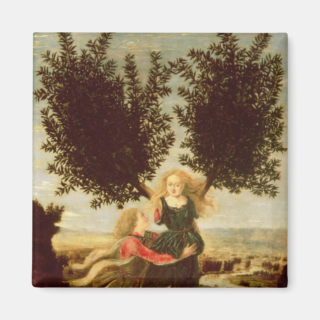 Daphne och Apollo, c.1470-80 Magnet (Framsidan)