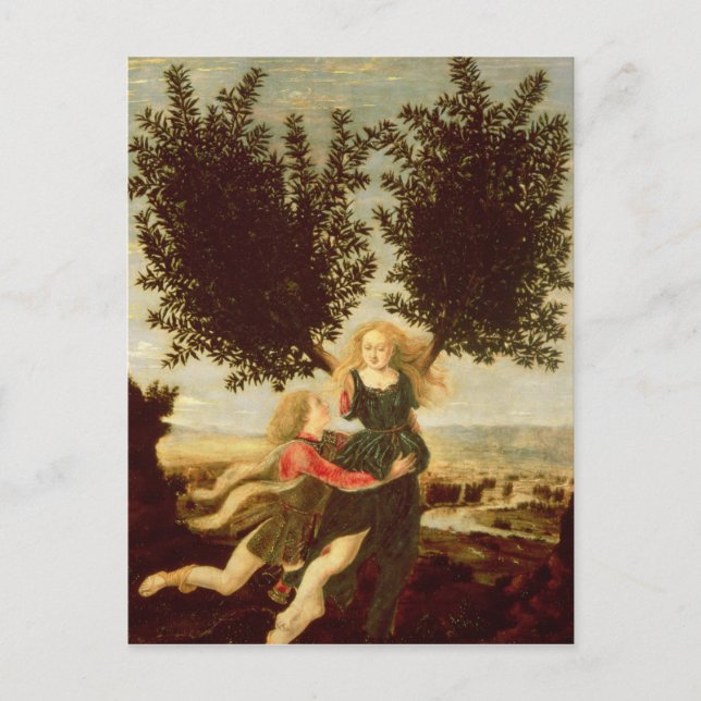 Daphne och Apollo, c.1470-80 Vykort (Framsida)
