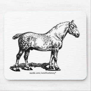 Dapped Draft Horse Musmatta