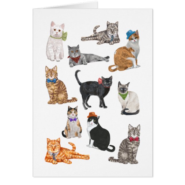 Dapper Cats Hälsningskort (Framsidan)