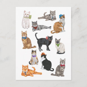 Dapper Cats Vykort