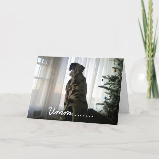 Dapper Dalmationen Helgkort