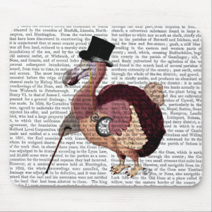 Dapper Dodo Musmatta