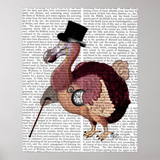 Dapper Dodo Poster (Framsidan)