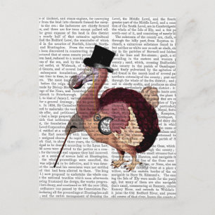 Dapper Dodo Vykort