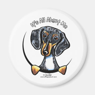 Dapple Dachshund om mig Magnet