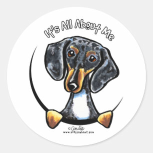 Dapple Dachshund om mig Runt Klistermärke